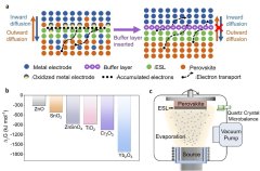 云南大学：基于非晶态稀土氧化镱 在Nature发表创