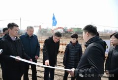 内蒙古自治区党委副书记、自治区主席王莉霞在